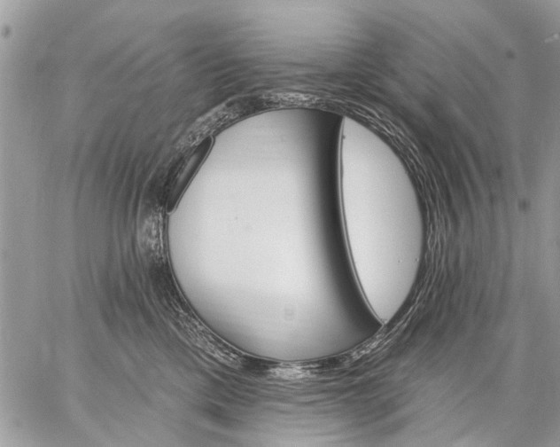 X0000059060425200510171944