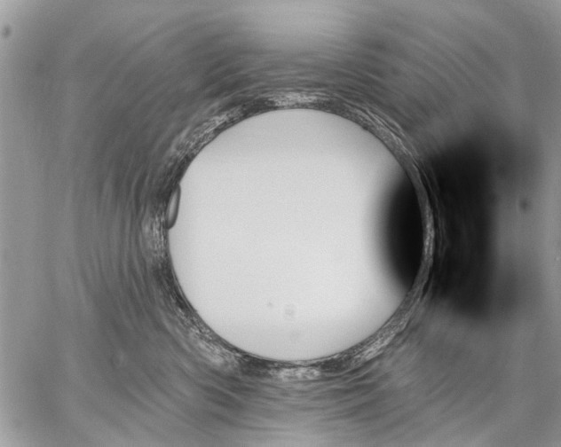 X0000059060426200510171944