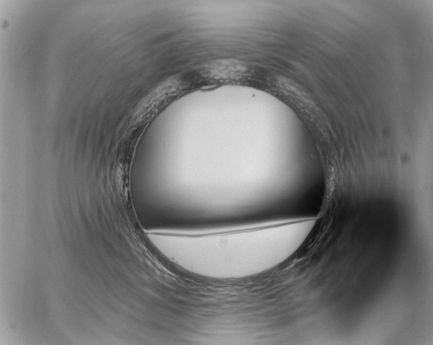 X0000059060428200510171944