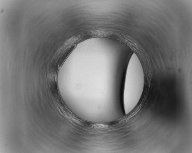 X0000059060429200510171944