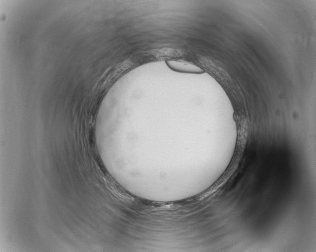 X0000059060430200510171944