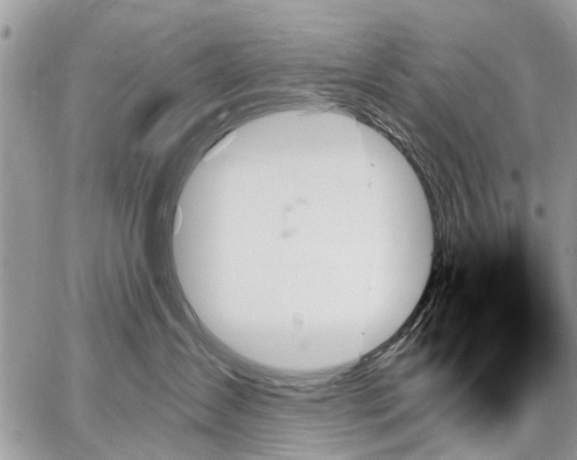 X0000059060431200510171944