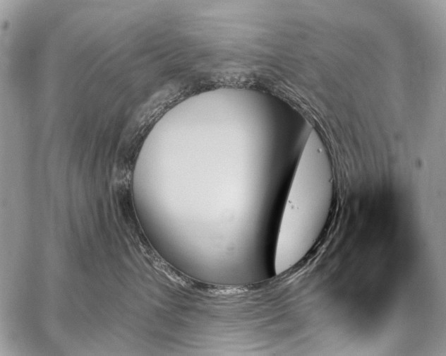 X0000059060432200510171944