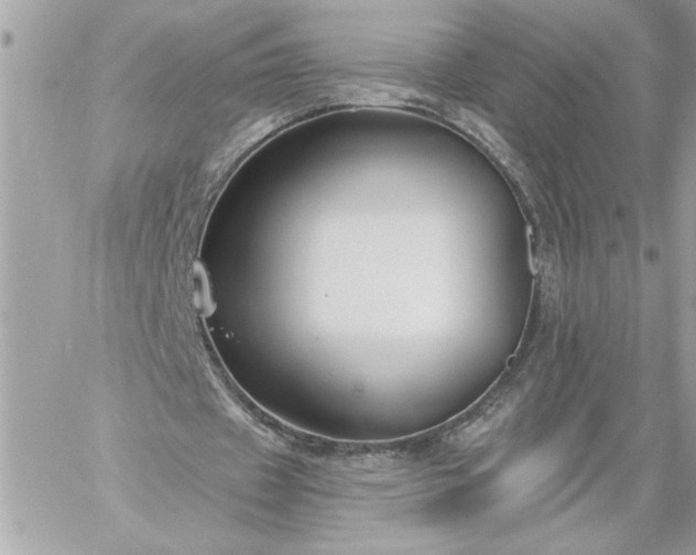 X0000059060433200510171943