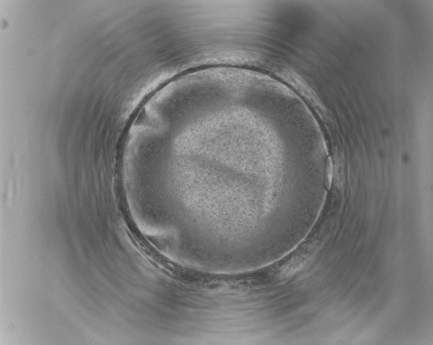 X0000059060434200510171943