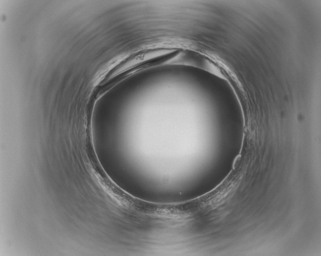 X0000059060437200510171943