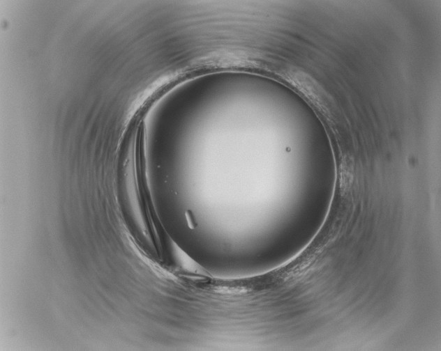 X0000059060438200510171943