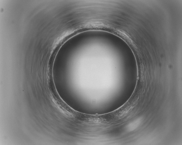 X0000059060439200510171943