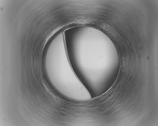 X0000059060440200510171943