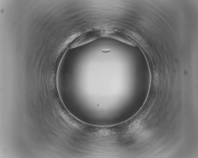 X0000059060441200510171943