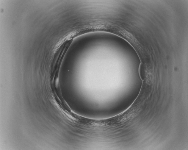 X0000059060442200510171943