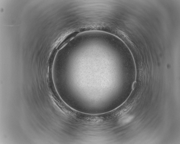 X0000059060443200510171943