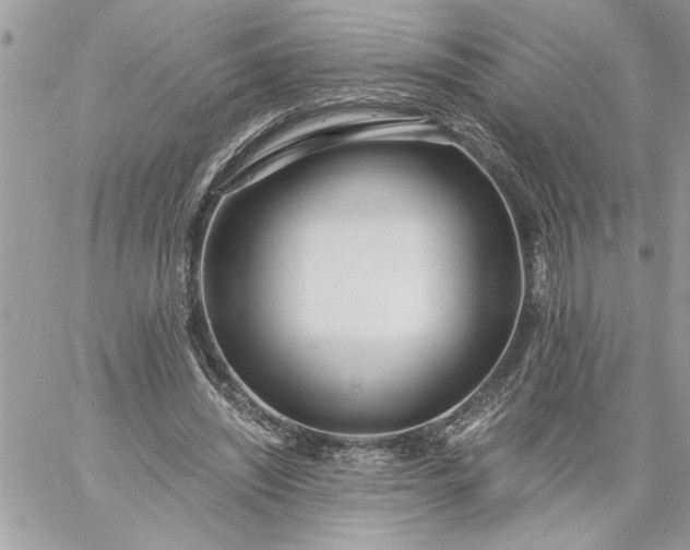 X0000059060444200510171943