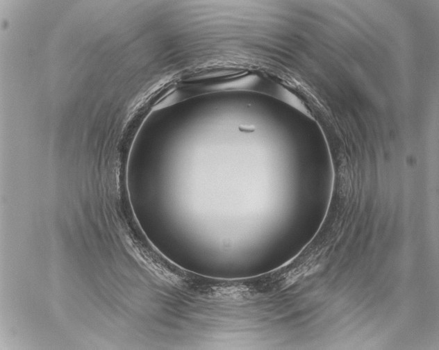 X0000059060446200510171943