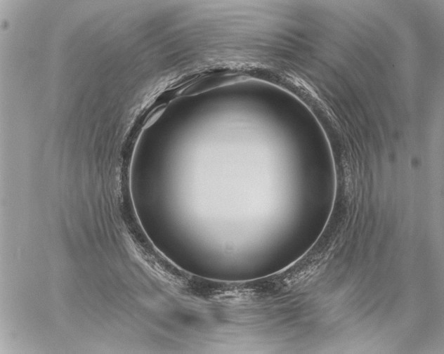 X0000059060447200510171943