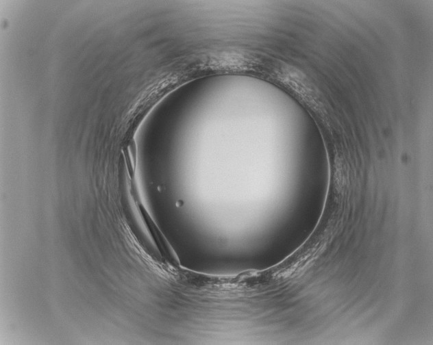 X0000059060449200510171943