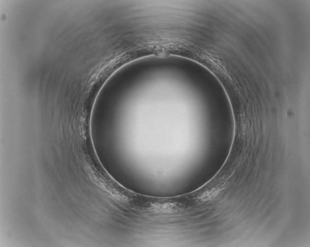 X0000059060450200510171943