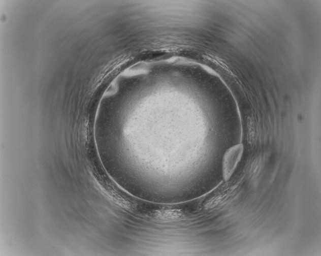 X0000059060451200510171943