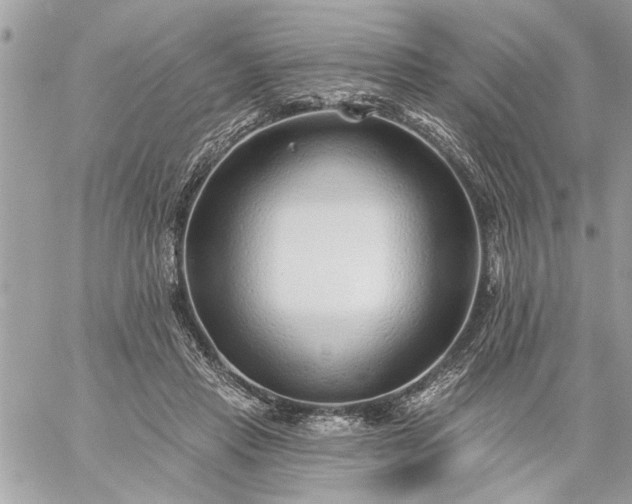 X0000059060453200510171943