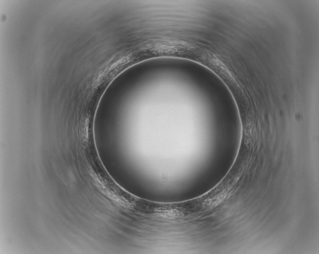 X0000059060454200510171943