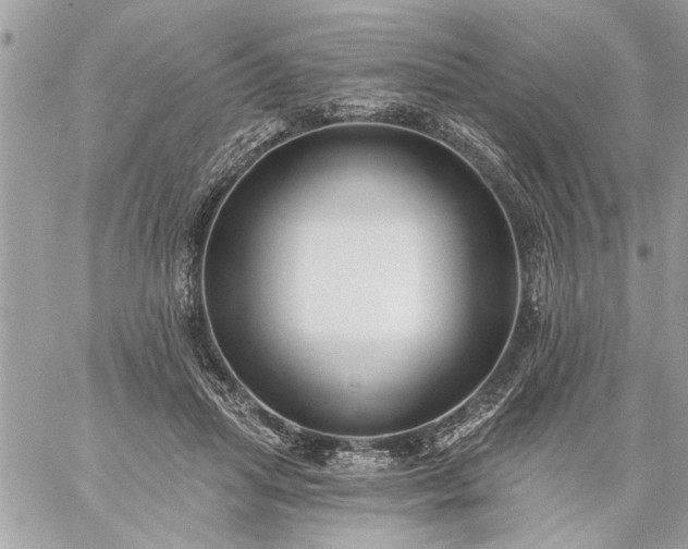 X0000059060455200510171943