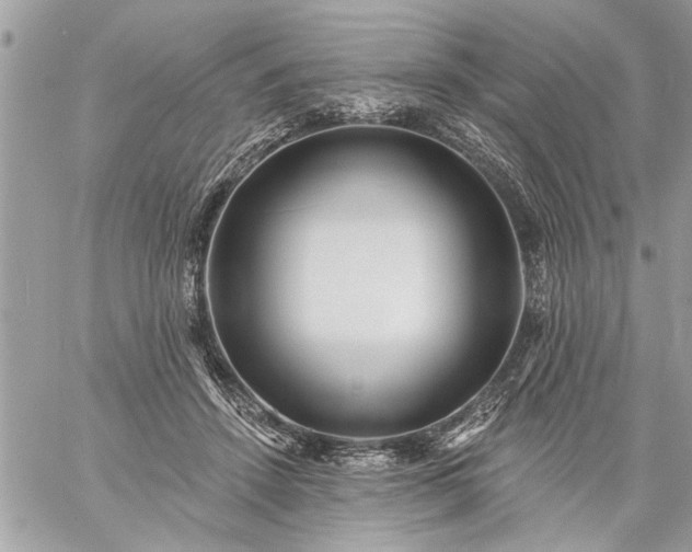 X0000059060456200510171943