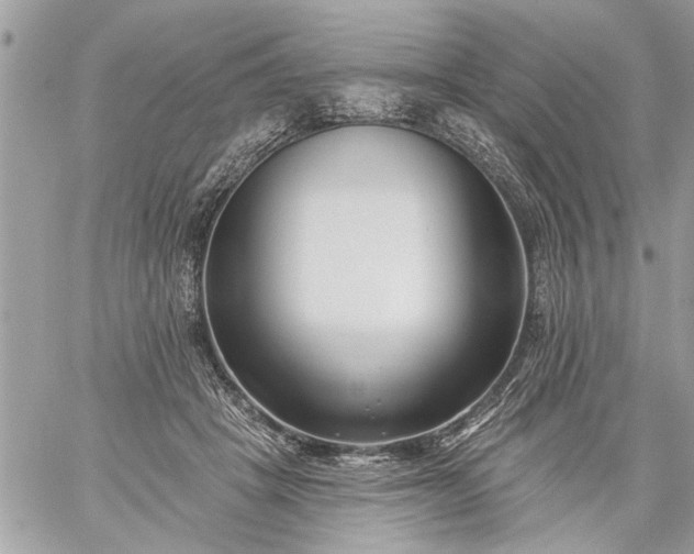 X0000059060457200510171943