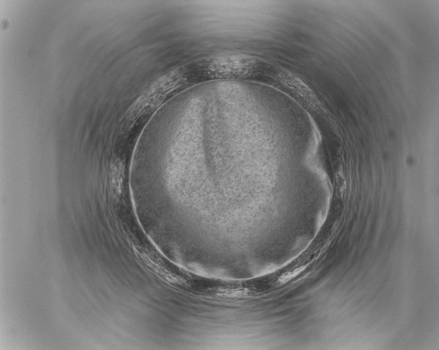 X0000059060458200510171943