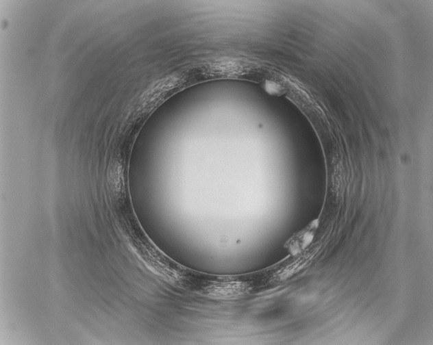 X0000059060459200510171944