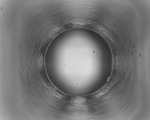 X0000059060463200510171944