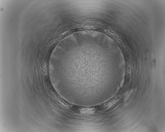 X0000059060465200510171944