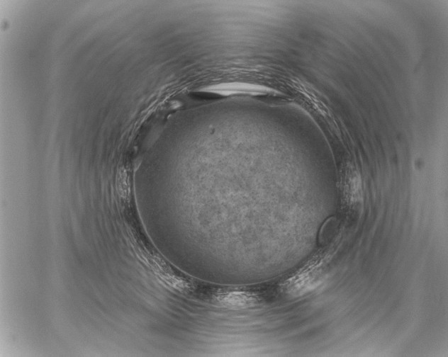 X0000059060467200510171944