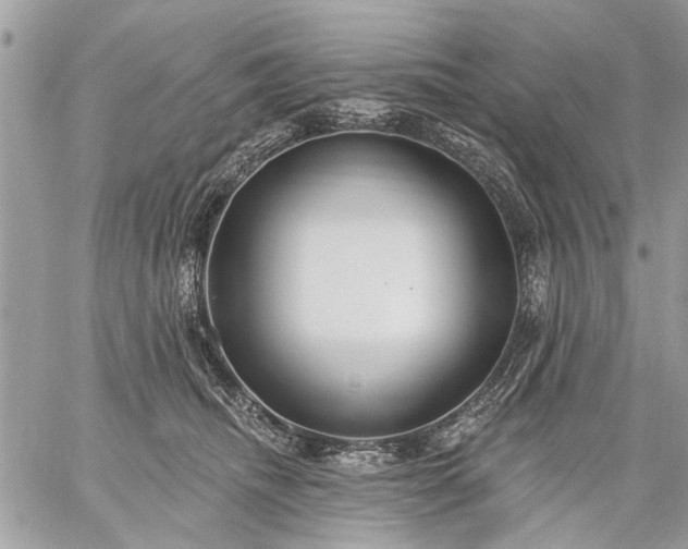 X0000059060468200510171944