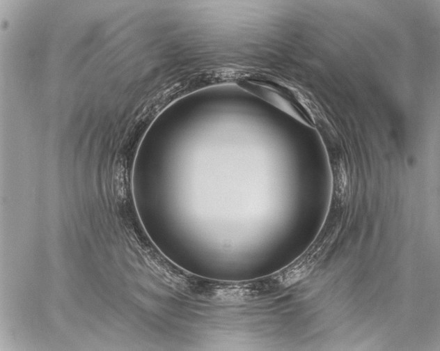 X0000059060470200510171944