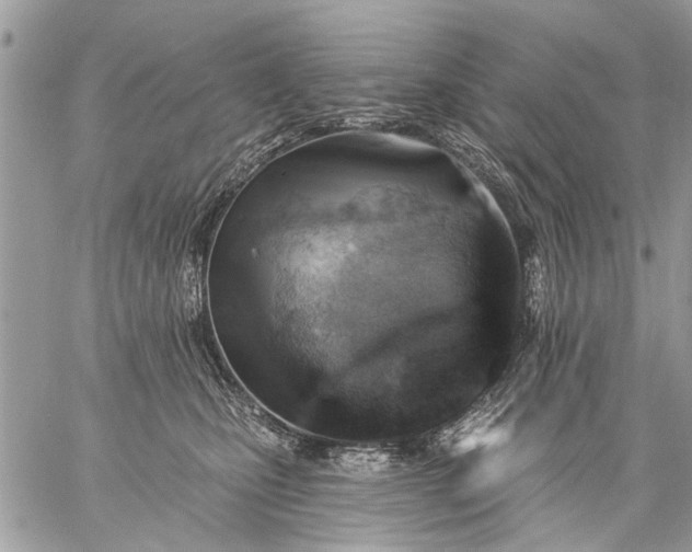 X0000059060471200510171944