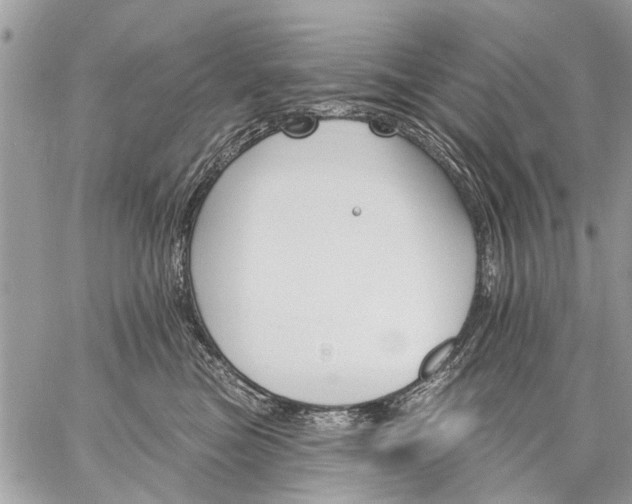 X0000059060473200510171944