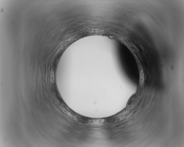 X0000059060474200510171944