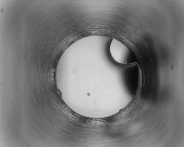 X0000059060475200510171944