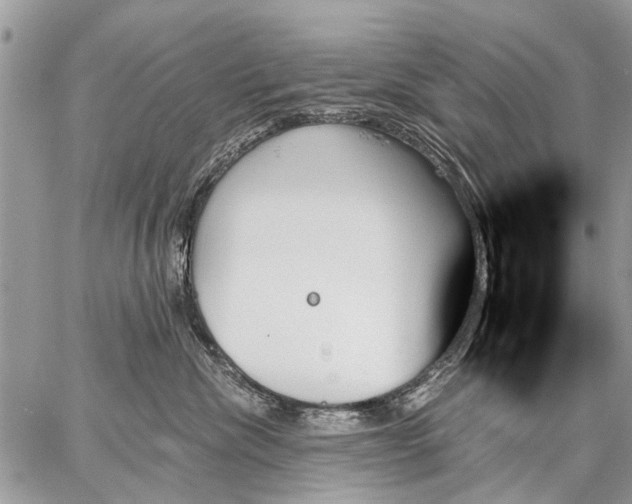 X0000059060476200510171944