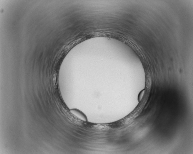 X0000059060477200510171944