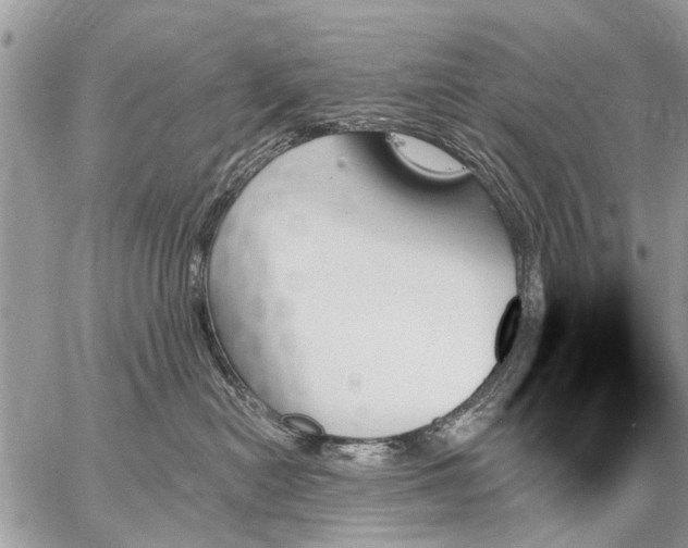 X0000059060478200510171944