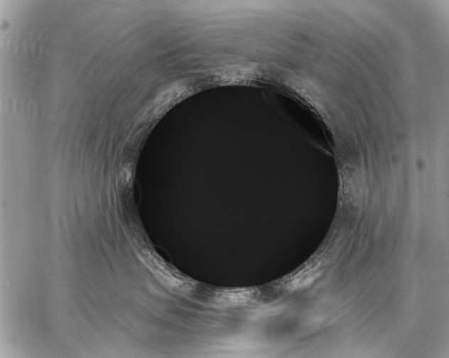 X0000059060479200510171944