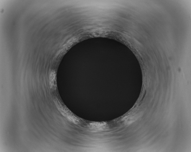 X0000059060480200510171944