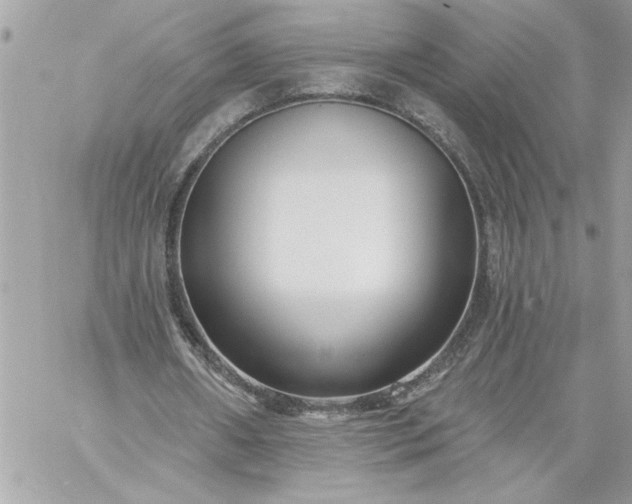 X0000059060482200510171943