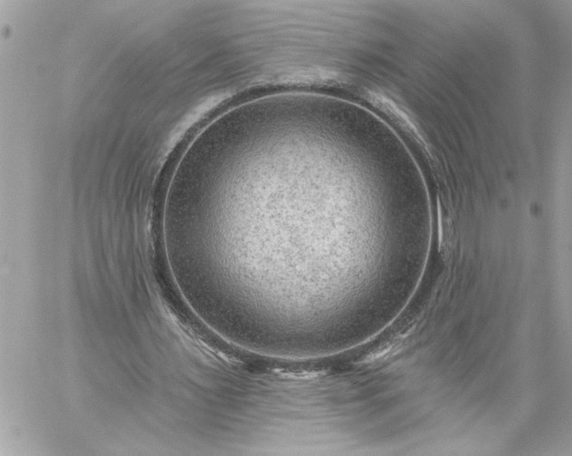 X0000059060483200510171943