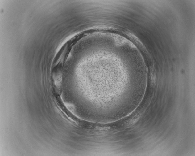 X0000059060484200510171943