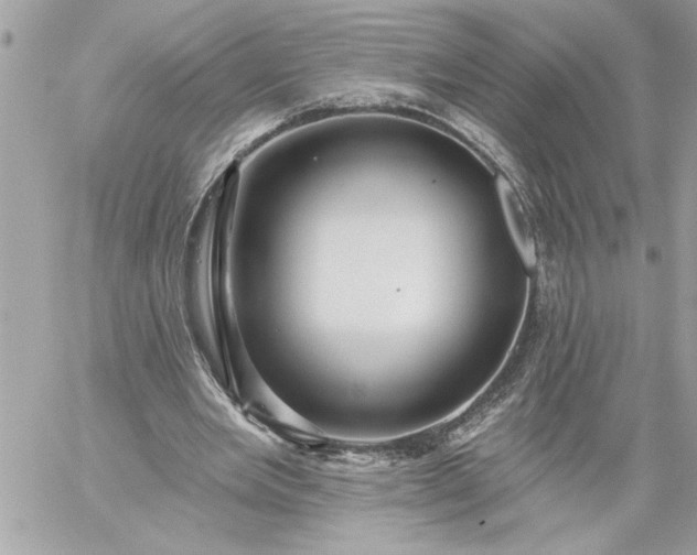 X0000059060485200510171943