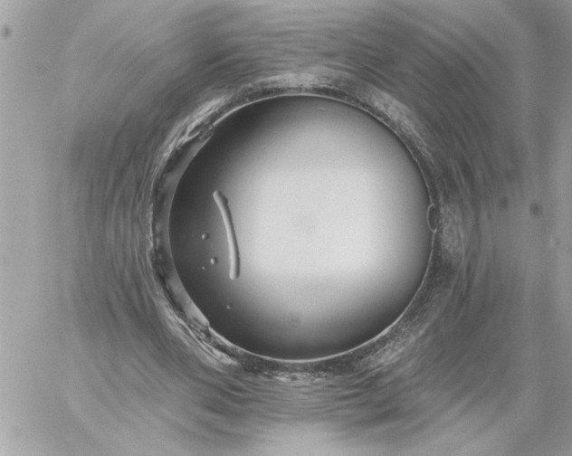 X0000059060486200510171943