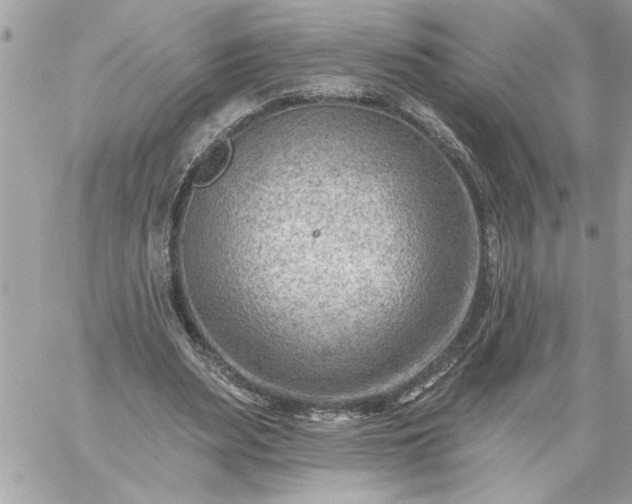 X0000059060487200510171943