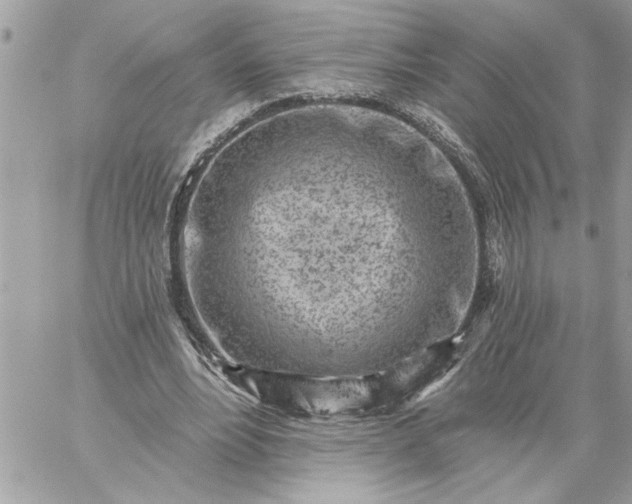 X0000059060488200510171943